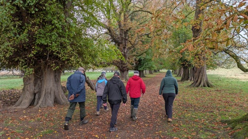 A group of people walk away from the camera through autumnal trees on a guided walk at Belton Estate.